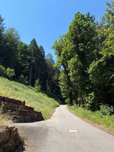 Über Neuenbürg und Ruine Waldenburg