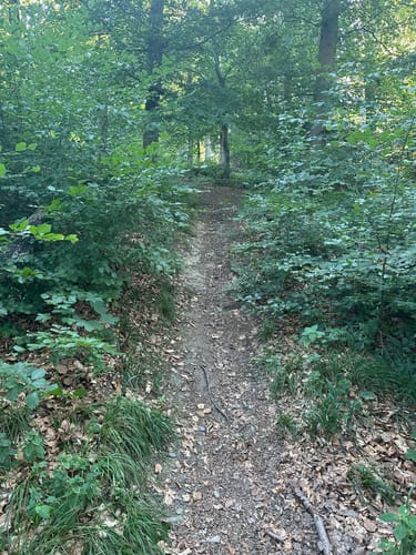 Glashütten-Waldems Rundkurs