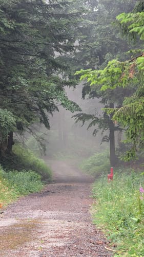 Gertelbach Wasserfälle Rundweg