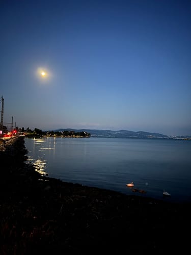 Bodensee (Radfernweg)