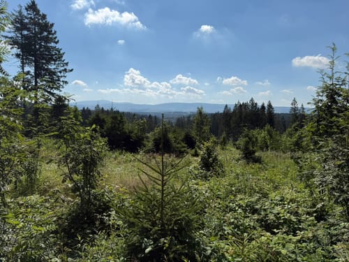 Teiche bei Festenburg