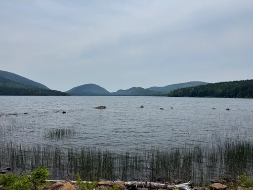 Paradise Hill - hikes and trails to get you there | AllTrails