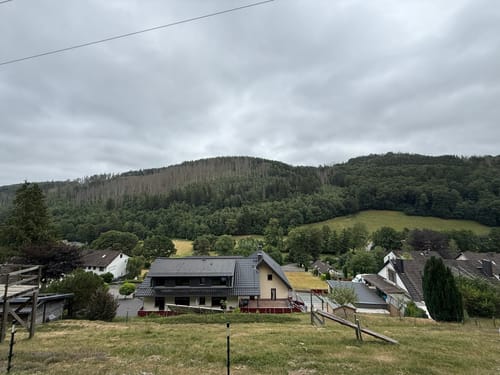 Buchenwald Dedenborn