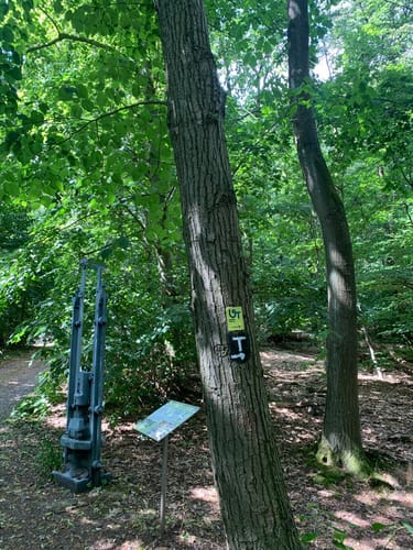 3-Türme-Weg (Premiumwanderweg)