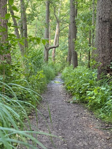 Lütauer See - Schmalsee Rundwanderung