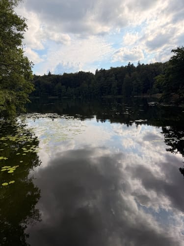 Lütauer See - Schmalsee Rundwanderung