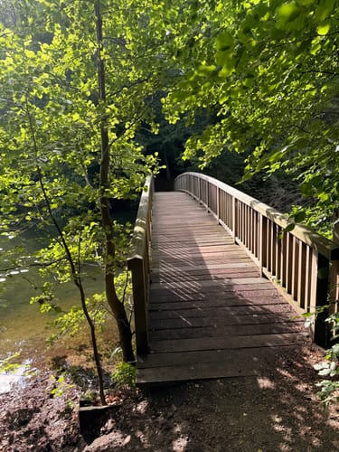Lütauer See - Schmalsee Rundwanderung