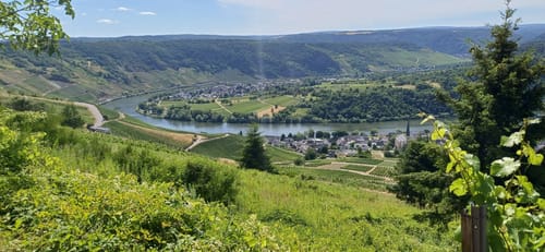 Panorama-Rundweg und Schiefer-Pfad Kröv