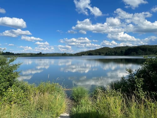 Rund um den Seehamer See