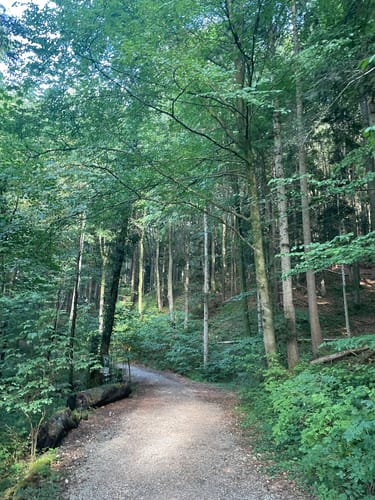 Rund um den Seehamer See