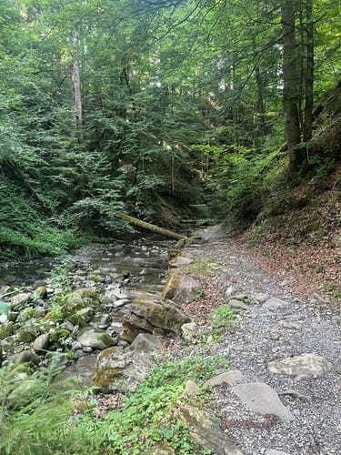 Obere Hausbachklamm Oberreute