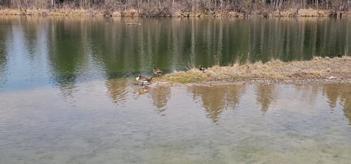 Rund um den Isar-Stausee in Bad Tölz