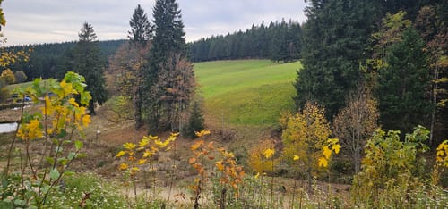 Brend und Martinskapelle Rundweg