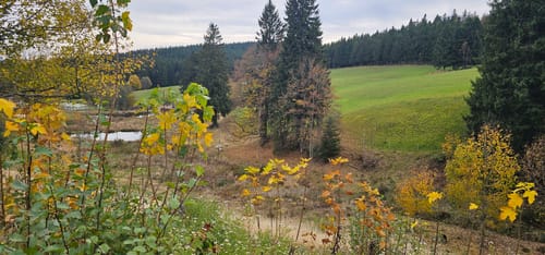 Brend und Martinskapelle Rundweg