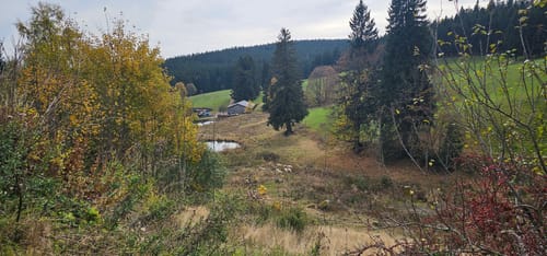 Brend und Martinskapelle Rundweg