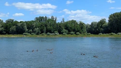 Treidlerweg (Premiumwanderweg)