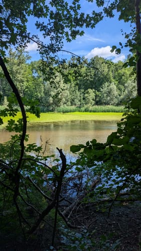 Treidlerweg (Premiumwanderweg)