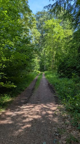Treidlerweg (Premiumwanderweg)