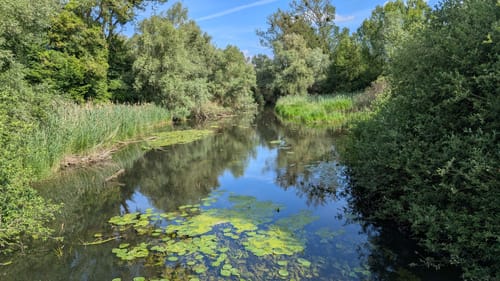 Treidlerweg (Premiumwanderweg)