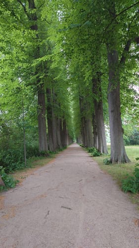 Eutiner See Rundweg