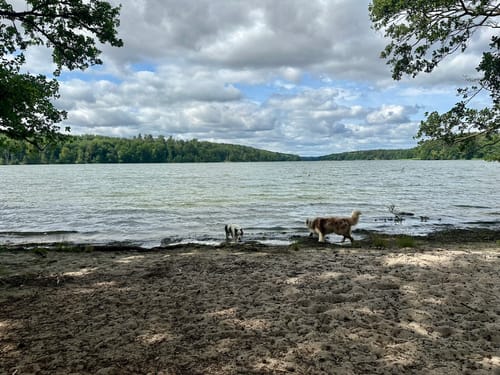 Angermünde - Wolletzsee - Adlerquelle