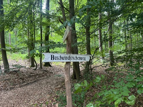 Angermünde - Wolletzsee - Adlerquelle