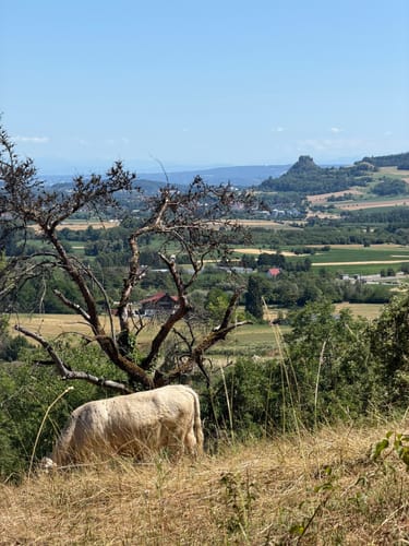 Hewensteig (Hegauer Kegelspiel)