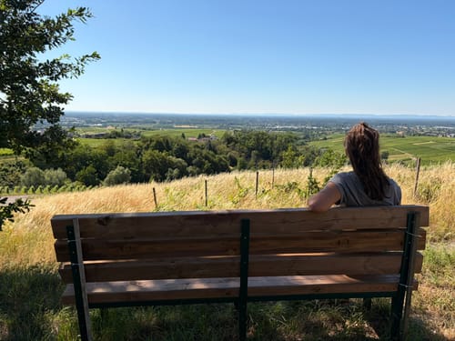 In die Weinberge über Affental