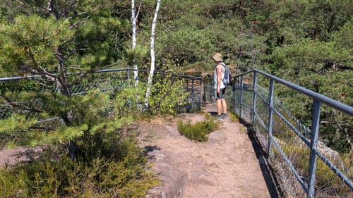 Elwetritscheweg und Infopfad