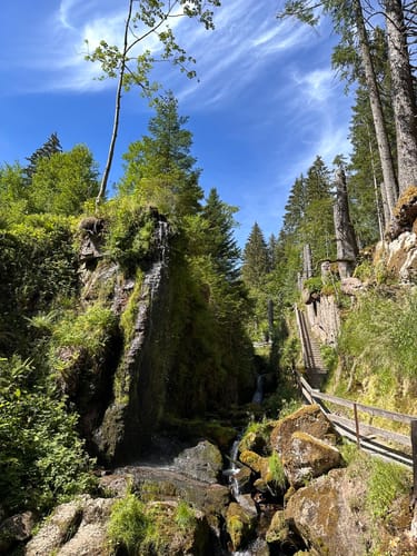 Menzenschwander Geißenpfad (Genießerpfad)