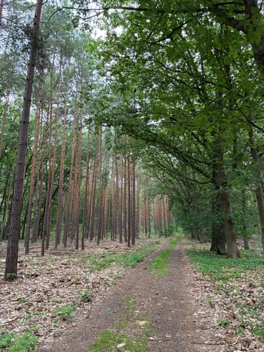 Sarcower See - Jungfernsee - Schlosspark Sacrow