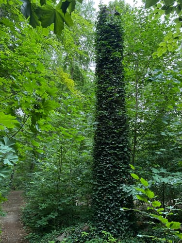 Sarcower See - Jungfernsee - Schlosspark Sacrow