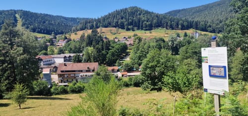 Heidelbeerweg (Premiumwanderweg)