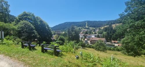 Heidelbeerweg (Premiumwanderweg)