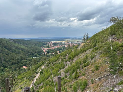 Durch das Ilsetal zur Plessenburg