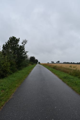 Wald und Feld bei Schwarzenbek