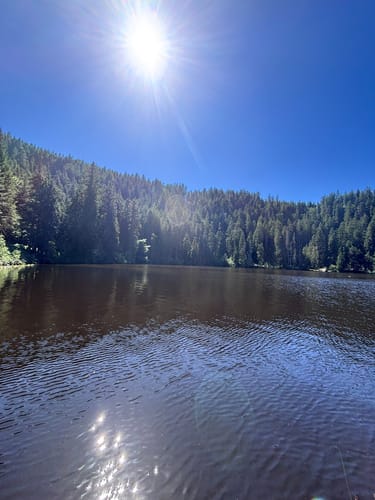 Glaswaldsee - Teufelskanzel - Südliche Griesbacher Wasserfälle