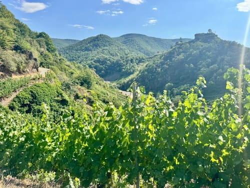 Rotweinwanderweg von Altenahr nach Dernau