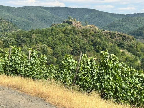 Rotweinwanderweg von Altenahr nach Dernau
