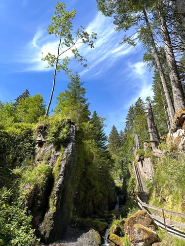 Menzenschwander Geißenpfad (Genießerpfad)