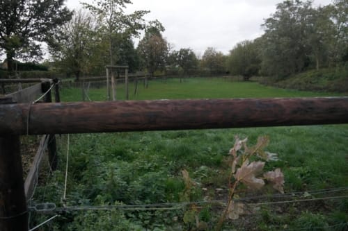 Rundweg Waldfeucht: An Bächen,durch Felder und Wälder