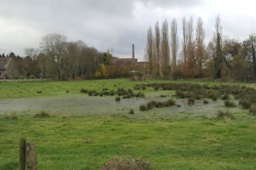 Siebengwald naar Plasmolen