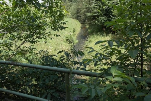 Räsfeld nach Marienthal