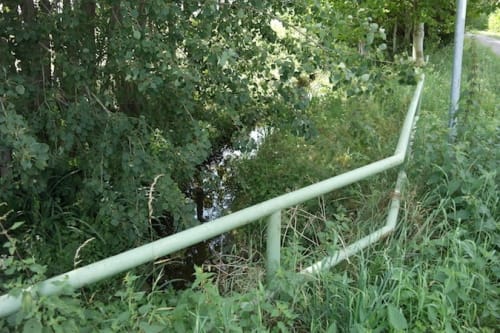 Räsfeld nach Marienthal