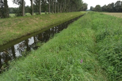 Marienthal nach Hamminkeln