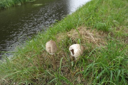 Marienthal nach Hamminkeln