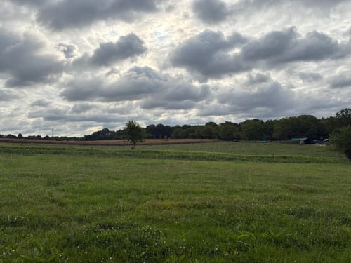 Neandertal Rundweg A5