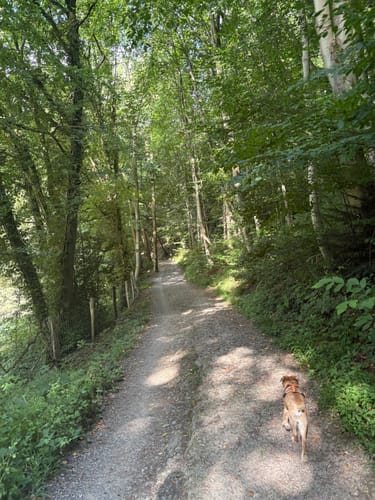 Neandertal Rundweg A5