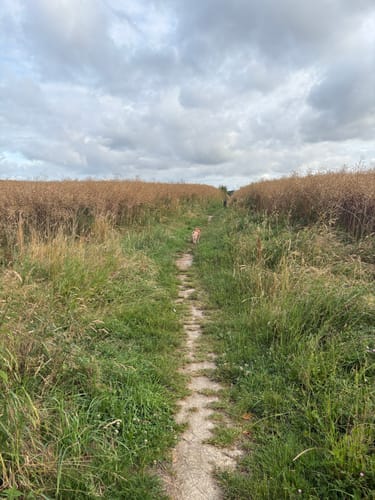 Neandertal Rundweg A5