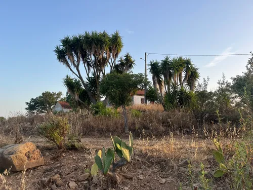 Oasis dos 3 Sobreiros